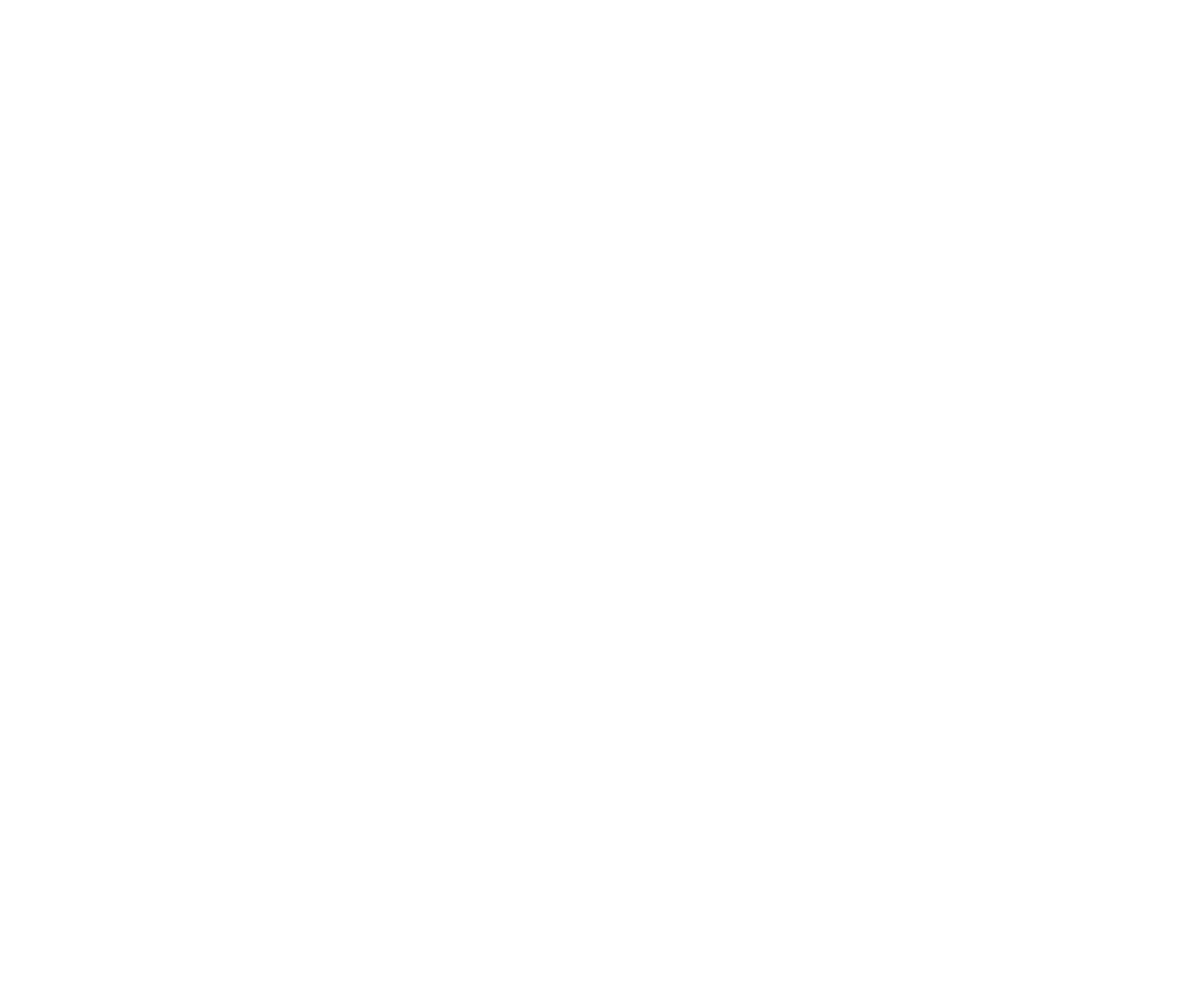 GT Motors • ჯი თი მოტორსი